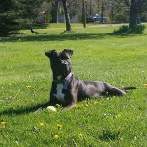 Meet your Posher, Debra